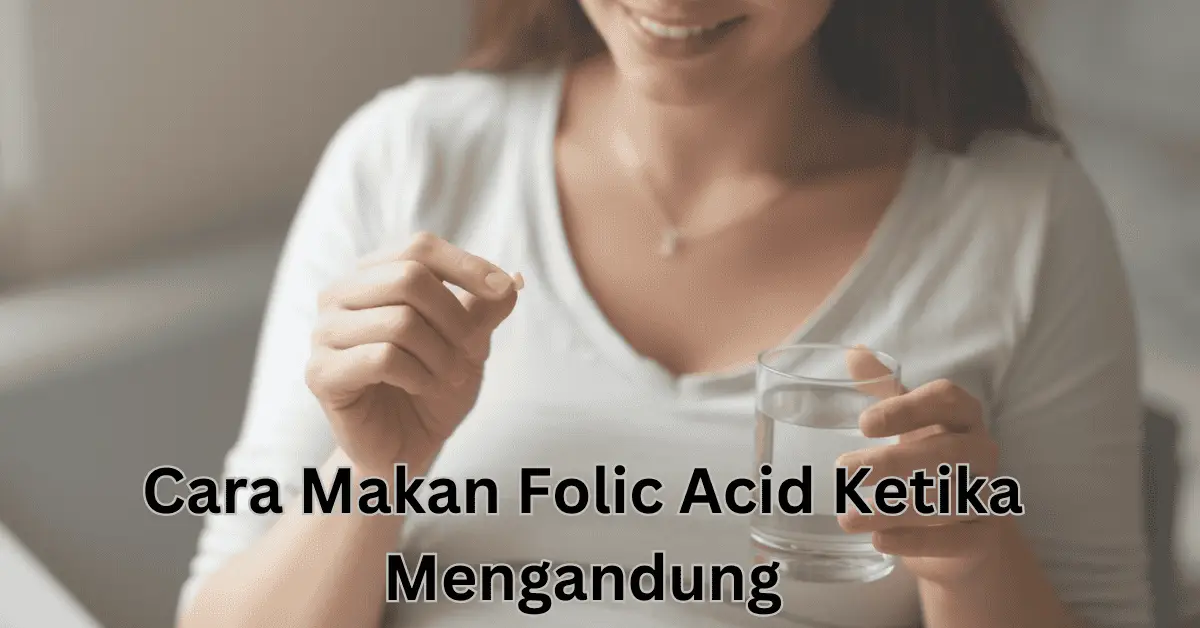 cara makan folic acid ketika mengandung