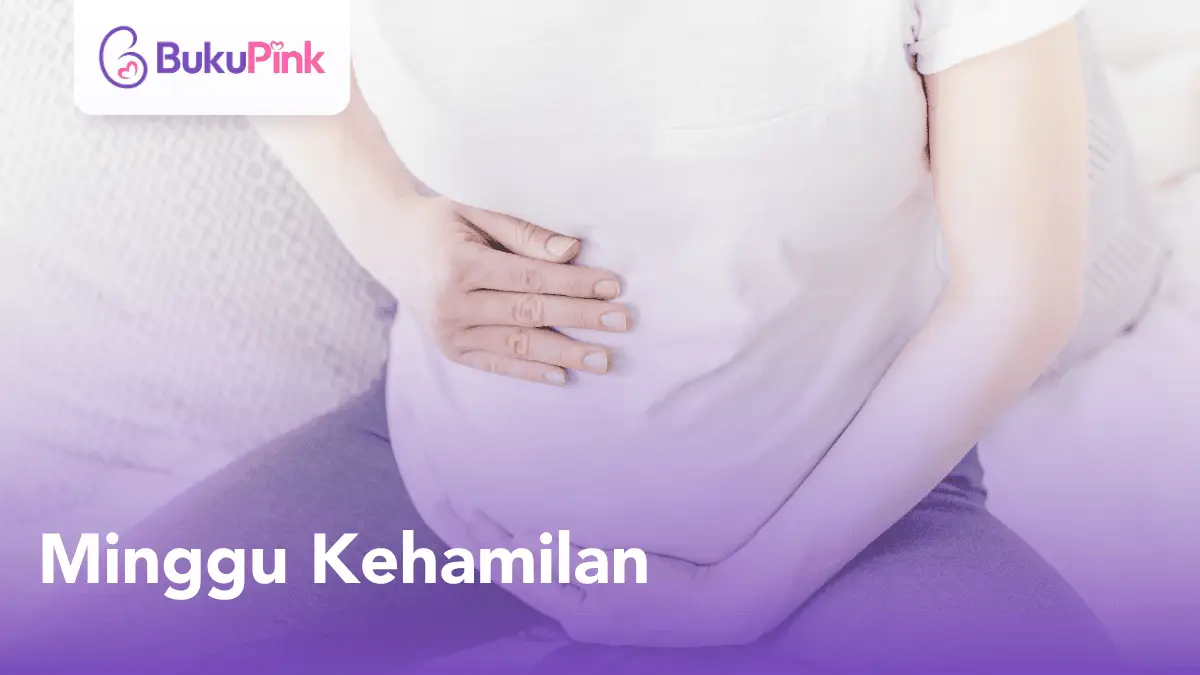 minggu kehamilan