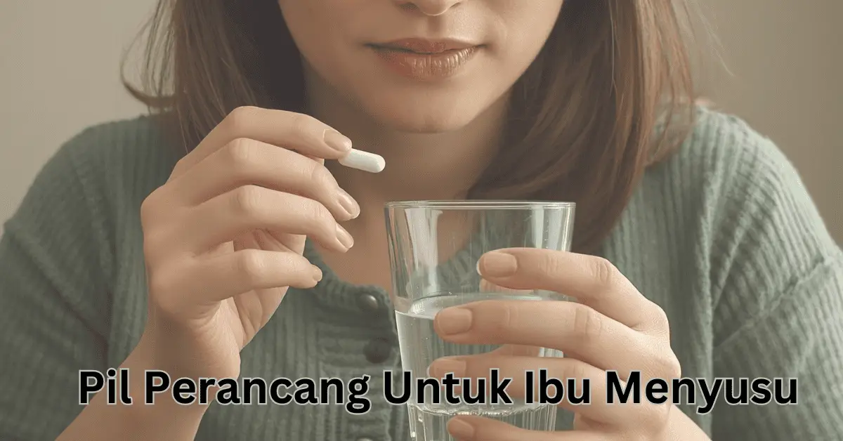 pil perancang untuk ibu menyusu