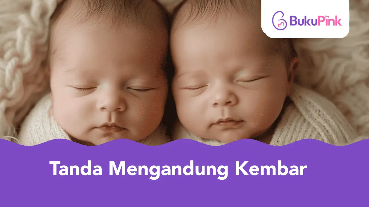 tanda mengandung kembar