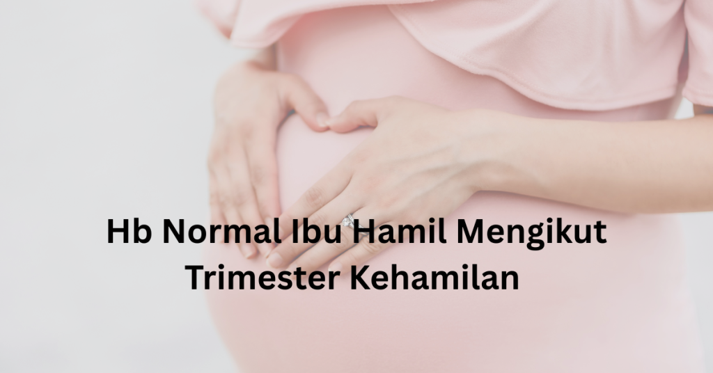 Berapa Hb Normal Ibu Hamil Mengikut Trimester? Jika Rendah, Boleh Bahayakan Ibu & Bayi!