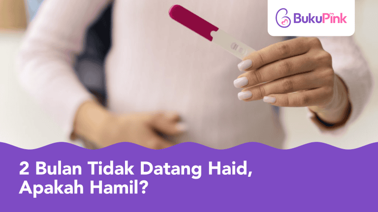 2 bulan tidak datang haid apakah hamil