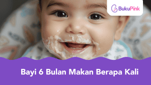 bayi 6 bulan makan berapa kali